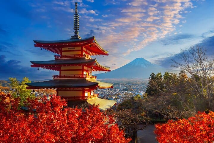 Mount Fuji Kawagoe and Hikawa Shrine Day Trip — photo 4