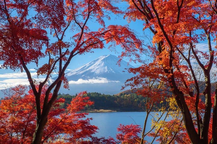 Mt. Fuji Autumn leaves And Heritage Village Trip Tokyo — photo 14
