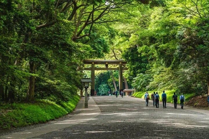 Tokyo Private Walking Tour with Hotel Pickup — photo 1