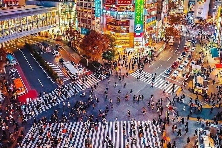Tokyo Private Walking Tour with Hotel Pickup — photo 3