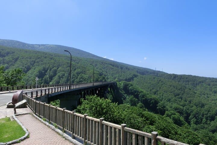 Lake Towada Cruise and Oirase Gorge Drive with Hakkoda Ropeway — photo 5