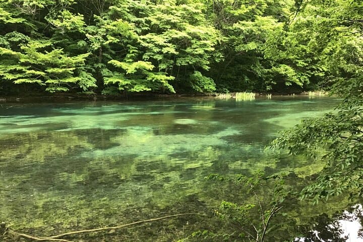 Lake Towada Cruise and Oirase Gorge Drive with Hakkoda Ropeway — photo 10