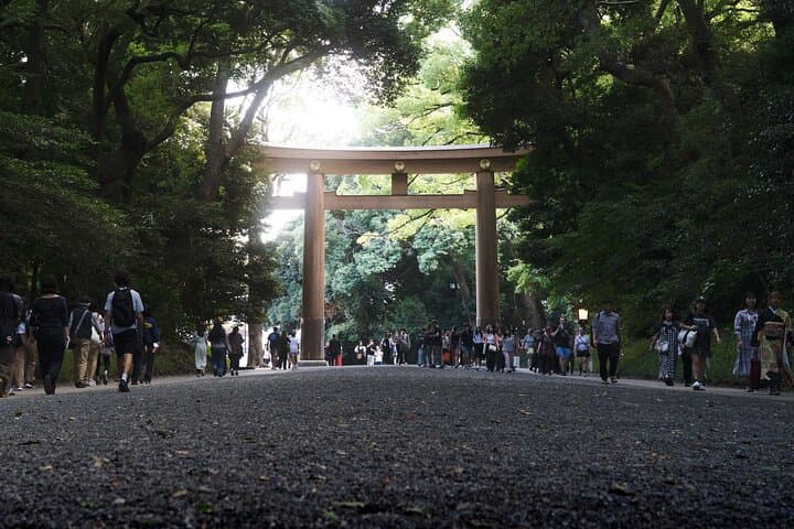 Tokyo: Private Meiji Shrine & Harajuku Walking Tour — photo 11
