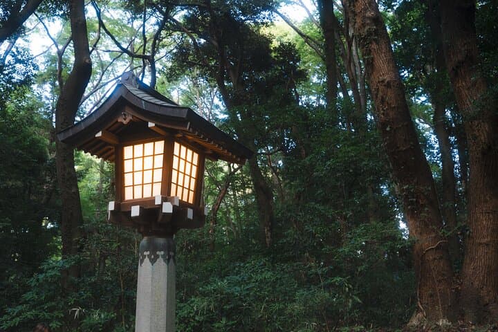 Tokyo: Private Meiji Shrine & Harajuku Walking Tour — photo 12