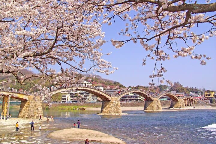 Iwakuni Tour from Hiroshima with Sake Tasting and Sushi Making — photo 12