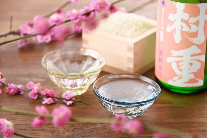 Iwakuni Tour from Hiroshima with Sake Tasting and Sushi Making — photo 4