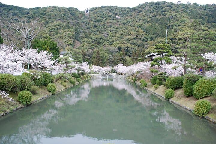 Iwakuni Tour from Hiroshima with Sake Tasting and Sushi Making — photo 15