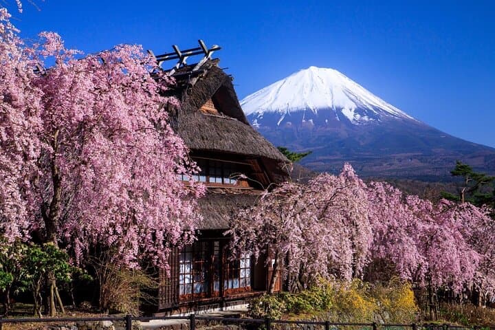 Muslim Friendly Mt. Fuji Tour with Halal Lunch and Prayer Time — photo 2