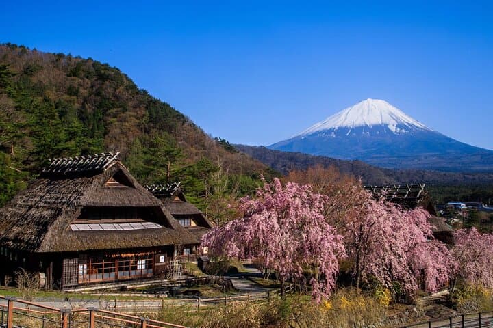Muslim Friendly Mt. Fuji Tour with Halal Lunch and Prayer Time — photo 14