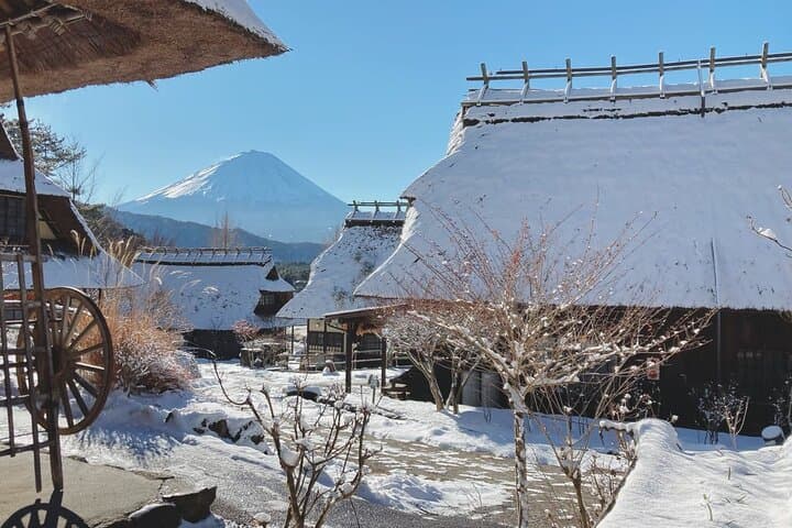 Muslim Friendly Mt. Fuji Tour with Halal Lunch and Prayer Time — photo 19