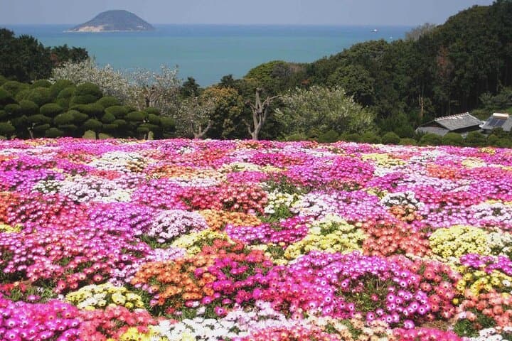 Colors of Japan, Fukuoka Nokonoshima Island Park & Wagyu BBQ — photo 9