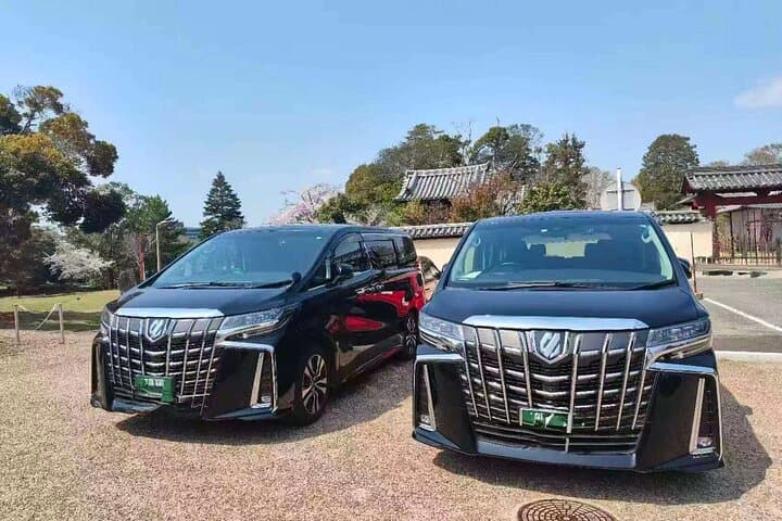 Kyoto Highlights Private Tour with Local driver (guide option) — photo 12