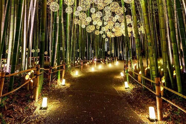 Kyoto Highlights Private Tour with Local driver (guide option) — photo 8