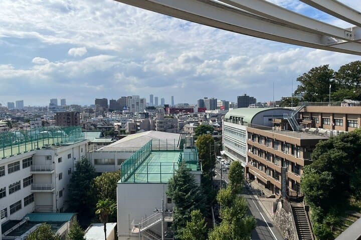 Ikegami Honmonji Temple Walking Tour in Tokyo — photo 8