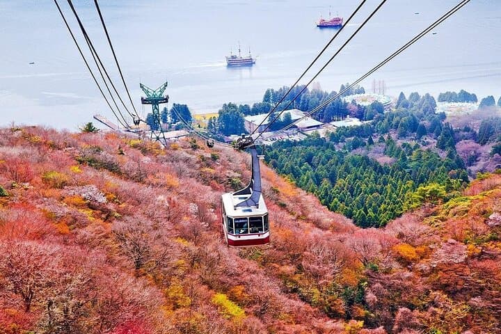 Mt. Fuji & Hakone Tour Lake Ashi, Owakudani & Ropeway Adventure — photo 7