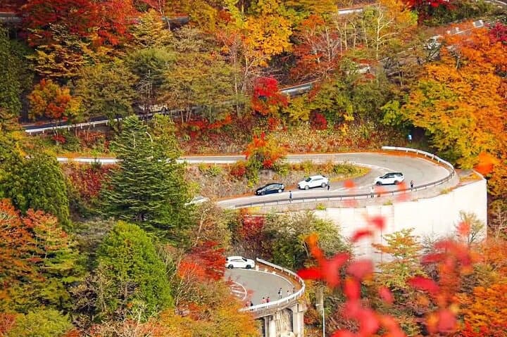 Nikko Private Tour With English Speaking Guide — photo 7