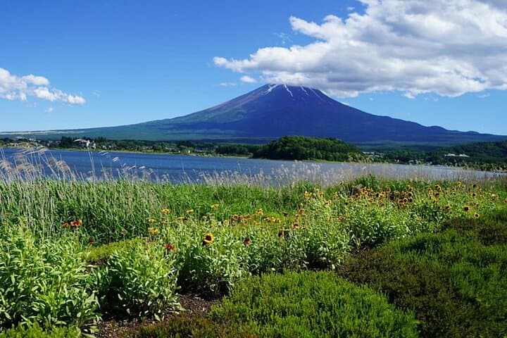 From Tokyo Mount Fuji Full Day Private Tour — photo 6