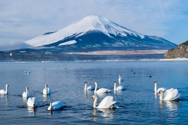 From Tokyo Mount Fuji Full Day Private Tour — photo 10