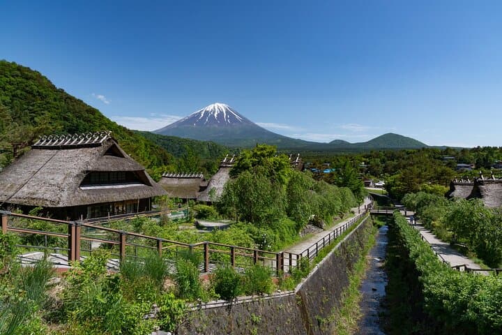 From Tokyo Mount Fuji Full Day Private Tour — photo 12