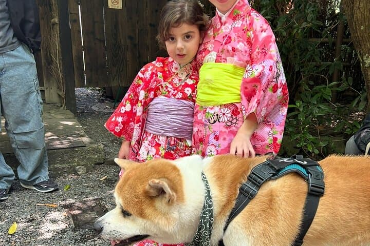 Kyoto and Nara Private Car Tour with a Local English Guide Driver — photo 11