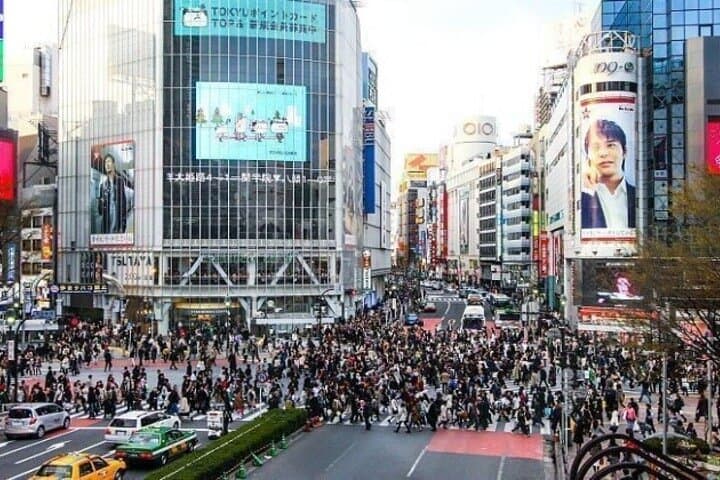 All Inclusive Tokyo Private Guided Tour with Hotel Pickup — photo 4