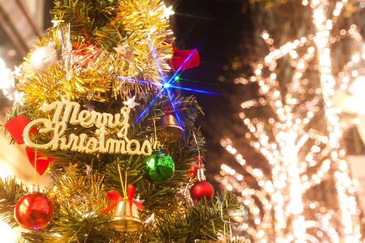 Experience the Magic of Christmas in Tokyo by Private Vehicle — photo 3