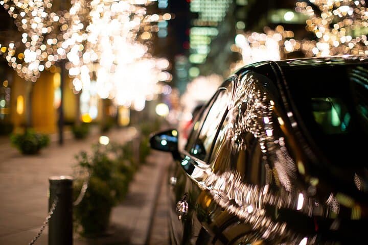 Experience the Magic of Christmas in Tokyo by Private Vehicle — photo 18