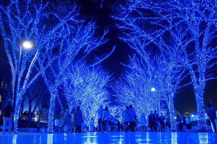 Experience the Magic of Christmas in Tokyo by Private Vehicle — photo 7