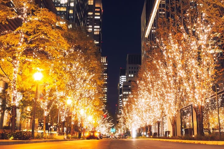 Experience the Magic of Christmas in Tokyo by Private Vehicle — photo 8