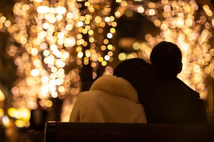 Experience the Magic of Christmas in Tokyo by Private Vehicle — photo 6