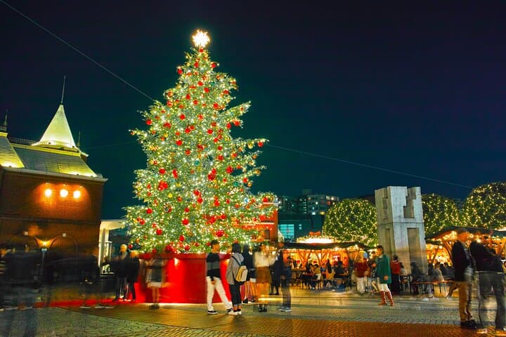 Experience the Magic of Christmas in Tokyo by Private Vehicle — photo 9