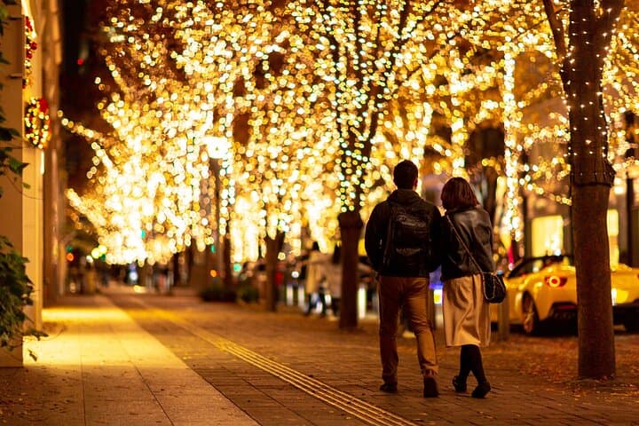 Experience the Magic of Christmas in Tokyo by Private Vehicle — photo 5