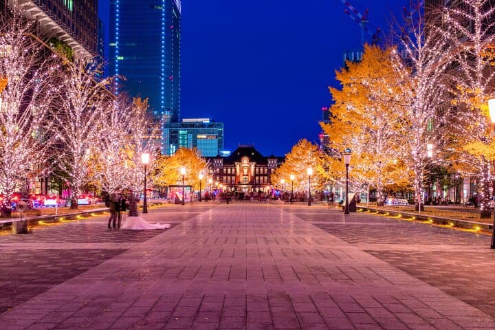 Experience the Magic of Christmas in Tokyo by Private Vehicle — photo 10