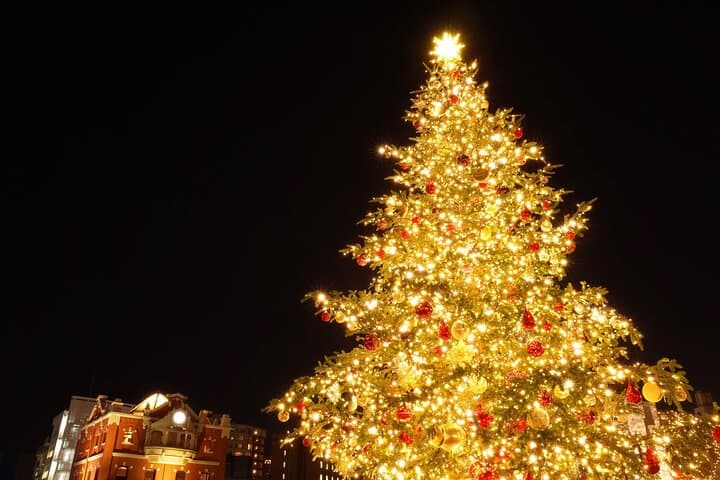 Experience the Magic of Christmas in Tokyo by Private Vehicle — photo 12