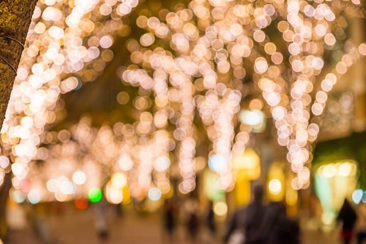 Experience the Magic of Christmas in Tokyo by Private Vehicle — photo 19