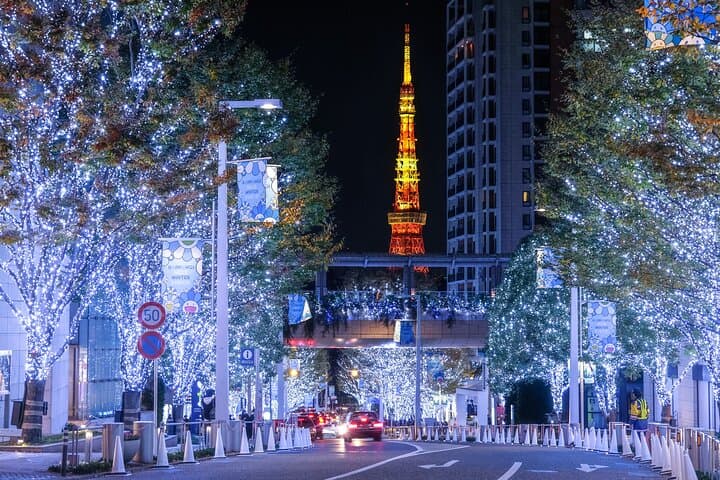 Experience the Magic of Christmas in Tokyo by Private Vehicle — photo 2