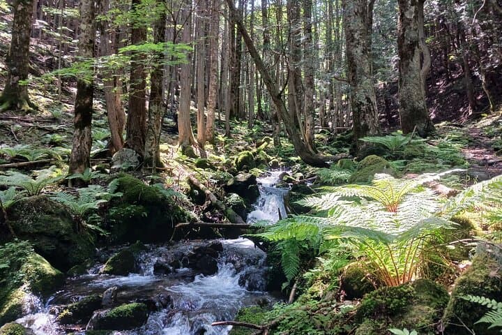 Matsumoto Mt.Hachibuse — photo 2