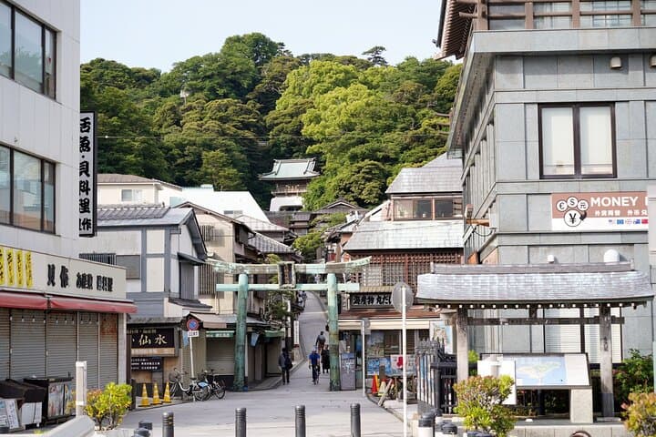 Jean’s Coastal Walk — Enoshima by Enoden (4-Hour Private Tour) — photo 3