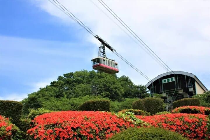 Beppu & Yufuin Day Tour with Frog Shrine from Fukuoka — photo 15