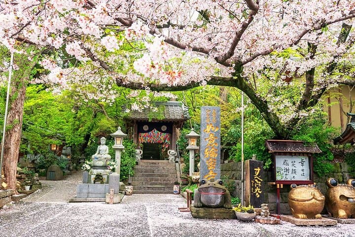 Beppu & Yufuin Day Tour with Frog Shrine from Fukuoka — photo 9