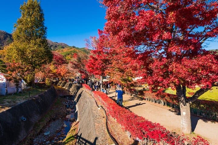 Mount Fuji Private Tour With English Guide Fully Customizable — photo 10