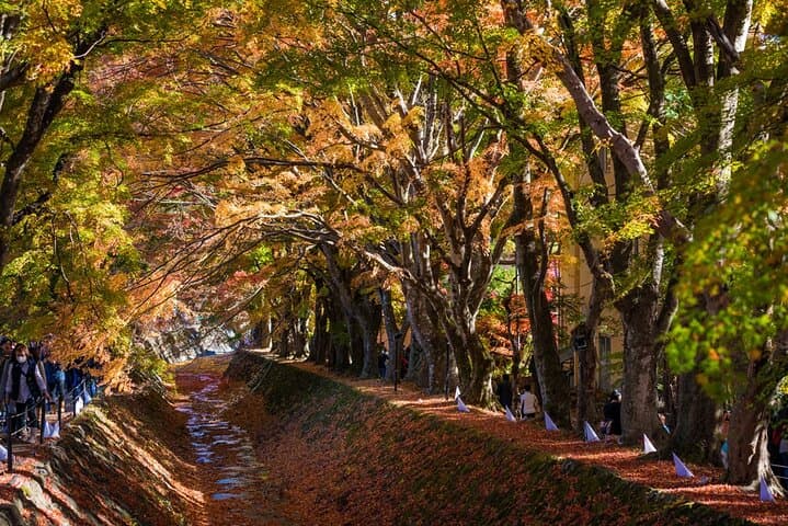 Mount Fuji Private Tour With English Guide Fully Customizable — photo 11