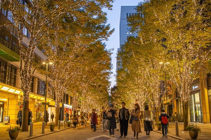 Experience the Magic of Christmas in Tokyo by Private Vehicle — photo 15