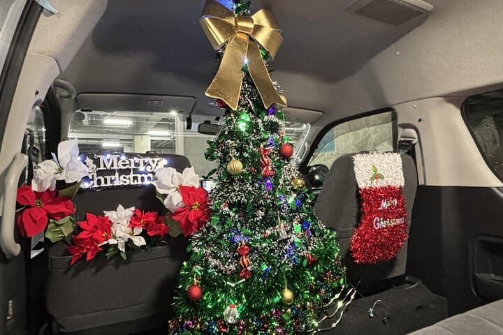 Experience the Magic of Christmas in Tokyo by Private Vehicle — photo 14