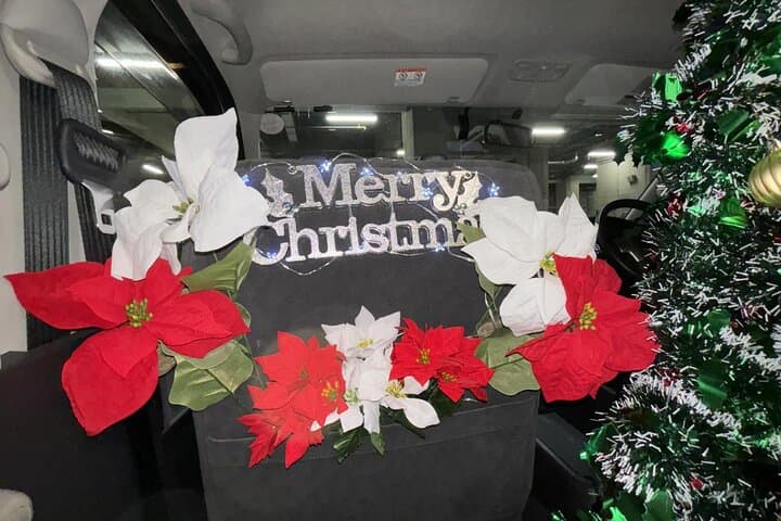 Experience the Magic of Christmas in Tokyo by Private Vehicle — photo 16