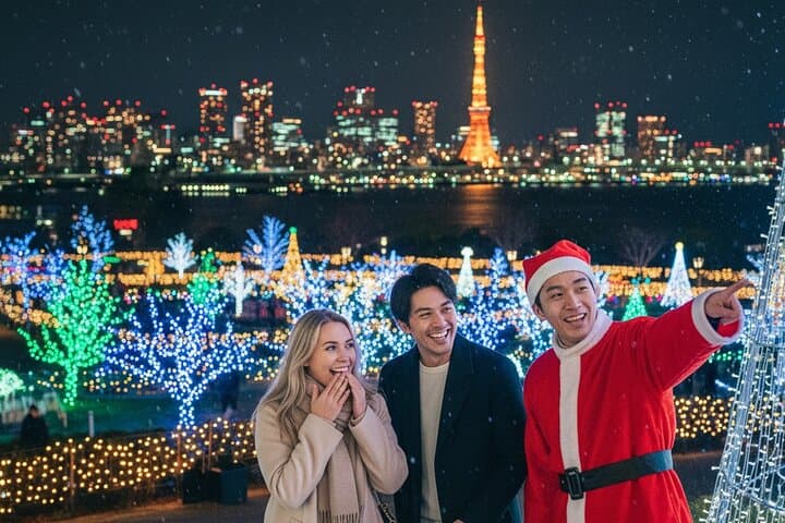 Experience the Magic of Christmas in Tokyo by Private Vehicle — photo 1