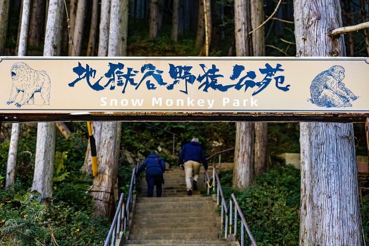 Jigokudani Snow Monkey Park Guided Tour by Private Vehicle — photo 10