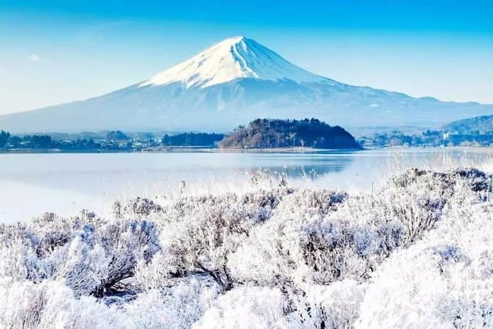Mt Fuji Exploration Tour with Free Japanese Kusa Mochi from Tokyo — photo 19