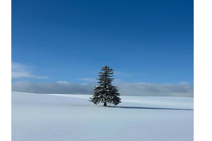 Hokkaido Biei Private Tour — photo 6