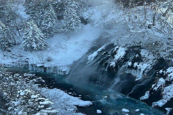 Hokkaido Biei Private Tour — photo 7